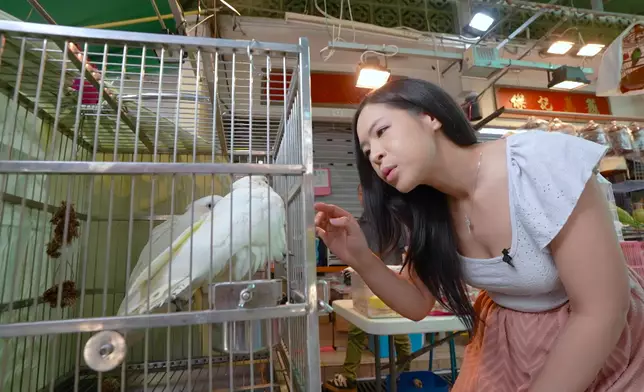 許美琪到女人街「掃街」及購物，又到雀仔街親親鳥兒。