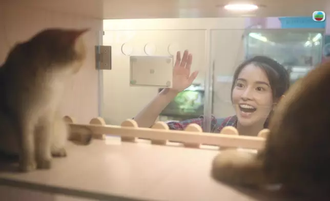 就算對住貓咪好開心，陳若思都做到嗰種令人毛骨悚然嘅狀態。