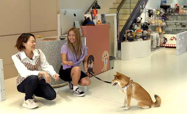 鄭融接受羅沛琪訪問與店內狗狗互動。