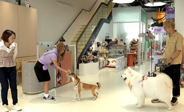 鄭融接受羅沛琪訪問與店內狗狗互動。