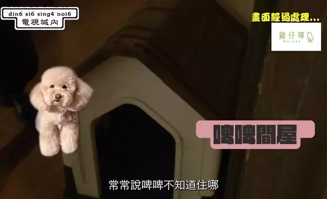 樊亦敏帶大家參觀《愛》劇的拍攝「禁地」。