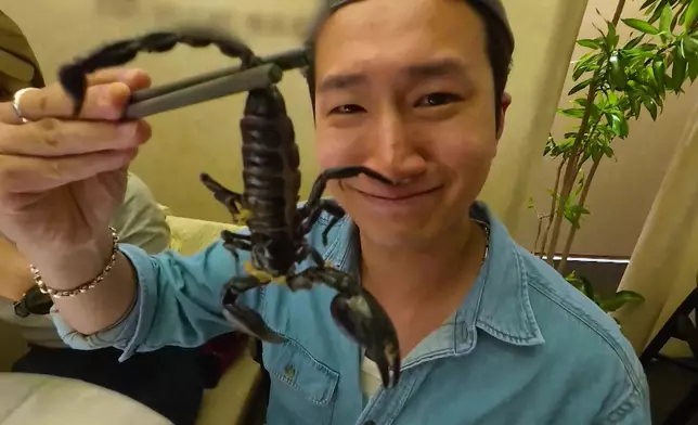 手掌咁大嘅蠍子。