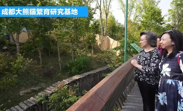 公務員事務局局長楊何蓓茵率領常任秘書長及部門首長赴內地參加國家事務研修班。楊何蓓茵ig視頻截圖