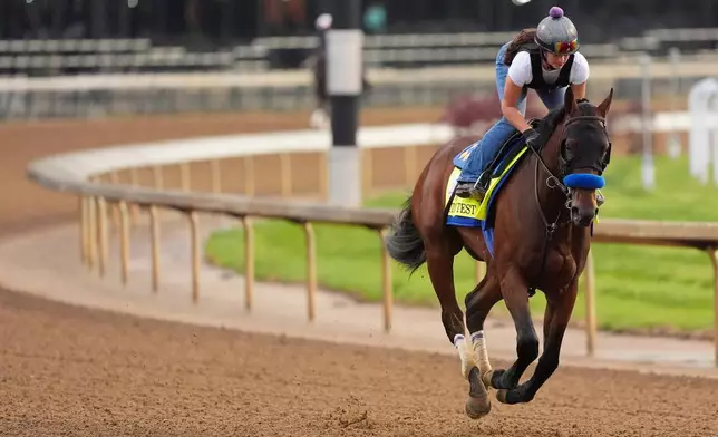2026年4月28日周二，肯塔基打吡參賽馬「試金石」在肯塔基州路易斯維爾的邱吉爾園馬場進行操練。(美聯社圖片/Charlie Riedel) AP圖片
