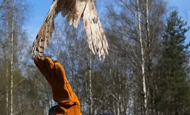 2026年4月22日，在俄羅斯聖彼得堡（St. Petersburg, Russia）市郊的「綠鸚鵡」（Green Parrot）雀鳥醫院，一名男孩放生一隻已康復的貓頭鷹，以紀念世界地球日（Earth Day）。(美聯社圖片/Dmitri Lovetsky) AP圖片