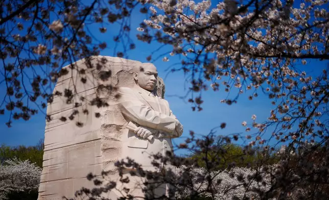2026年3月26日周四，華盛頓國家廣場潮汐湖畔的櫻花樹叢中可見馬丁路德金紀念碑。(美聯社圖片/Pablo Martinez Monsivais) AP圖片