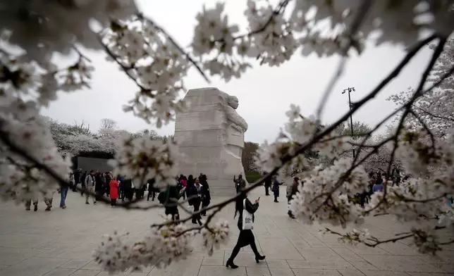 2026年3月27日周五，華盛頓的馬丁路德金紀念碑（Martin Luther King Jr. Memorial）被櫻花環繞。(美聯社圖片/Rahmat Gul) AP圖片