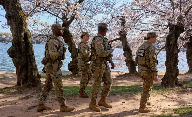 3月24日，密西西比國民警衛軍（Mississippi National Guard）在華盛頓潮汐湖畔的櫻花樹間巡邏。資料圖片