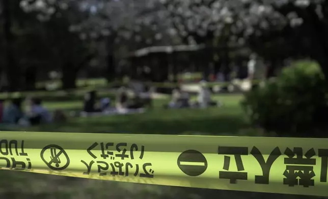 民眾在東京砧公園的櫻花樹健康檢查圍封區外野餐。攝於2026年4月3日周五。(美聯社圖片/Mayuko Ono) AP圖片