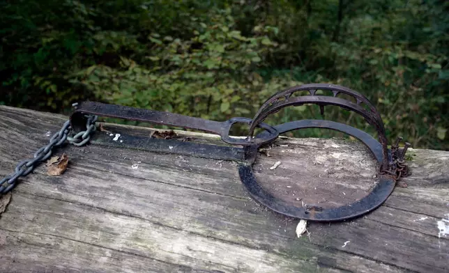 ​申訴專員公署公布就當局打擊殘虐動物工作的主動調查行動報告政府新聞處圖片