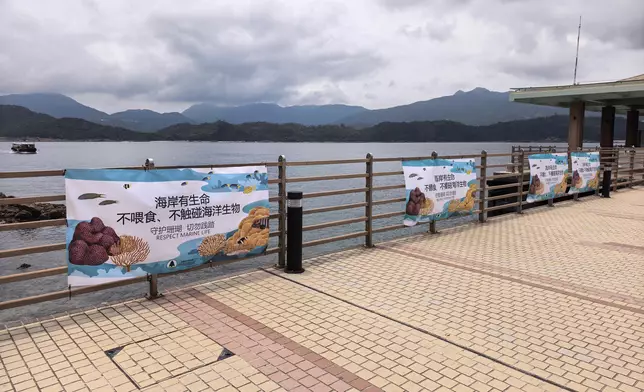 漁護署於橋咀洲碼頭展示的宣傳橫幅。 政府新聞處圖片