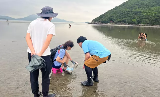 漁護署人員在水口沙坪向遊客分享保護馬蹄蟹和海岸環境的資訊。政府新聞處圖片