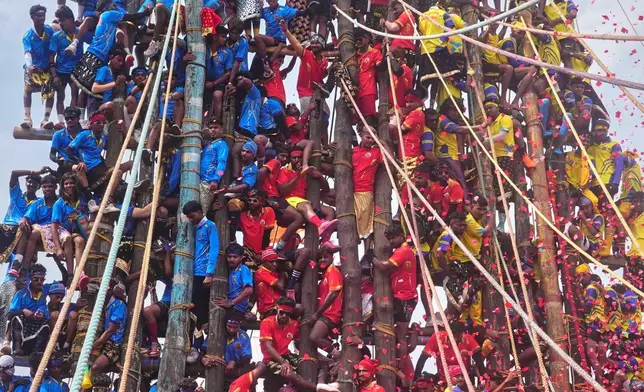 Agri-Koli 社群成員在印度孟買附近的拉維村，競相豎立儀式性竹竿，作為一項有數百年歷史、紀念當地賴巴黛維女神的年度傳統活動。攝於2026年4月17日周五。(美聯社圖片/Rafiq Maqbool) AP圖片