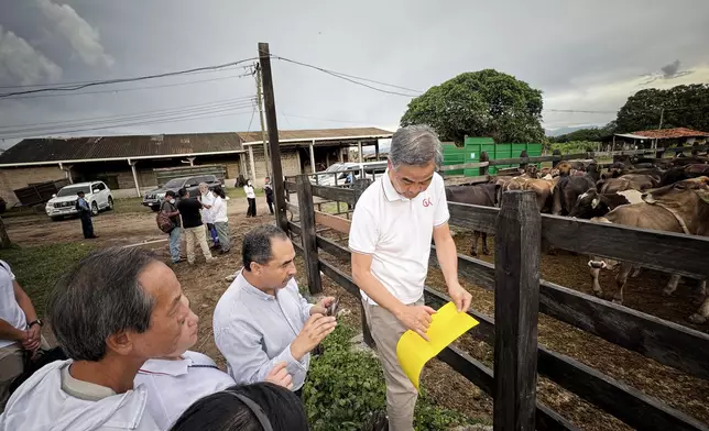 基金會項目在海外實施情況
