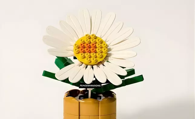 「818 BLOOM」小雛菊積木