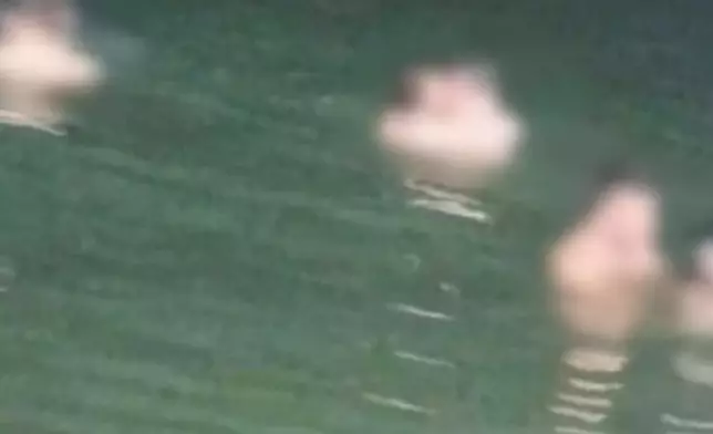 8名外籍男女酒後泰國海中親密互動惹眾怒。網上圖片