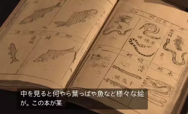 日本植物園《本草綱目》珍本經專家鑑定估值1億日圓。網上圖片