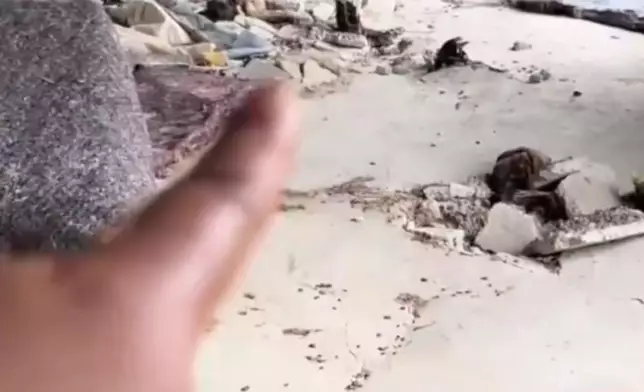女子發現廢棄養雞棚水泥地突爆裂，檢查揭竟是「竹筍」 從底下頂開。影片截圖