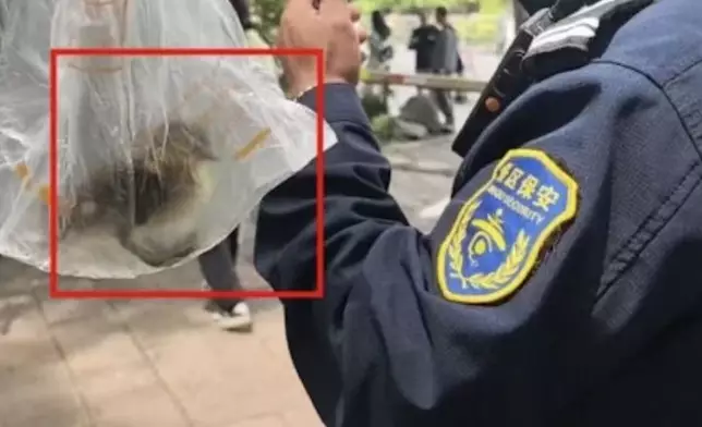 遊客將西湖初生鴛鴦裝膠袋帶走被截獲辯稱是鴨。影片截圖