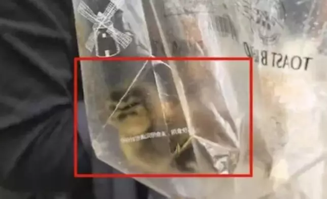 遊客將西湖初生鴛鴦裝膠袋帶走被截獲辯稱是鴨。影片截圖