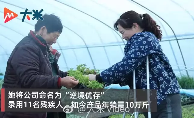 小兒麻痺症婦人拄雙拐創辦醃辣椒廠，年銷10萬斤助弱勢就業。影片截圖