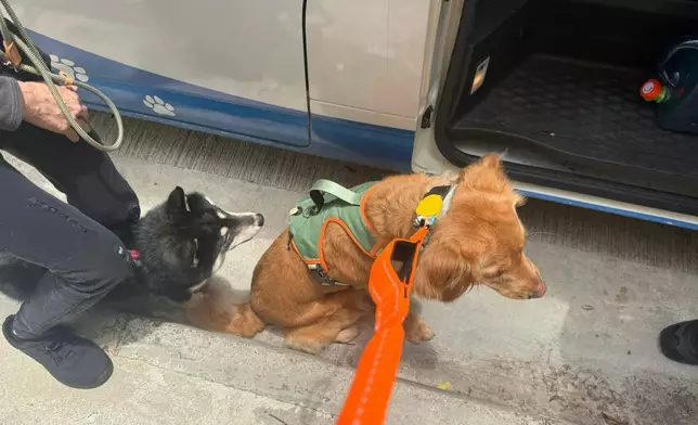 警方在涉事單位發現另外三隻狗，目前暫交愛護動物協會照顧。警方圖片