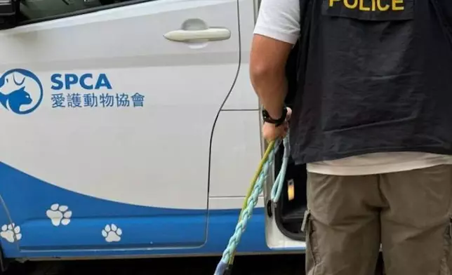 警方在涉事單位發現另外三隻狗，目前暫交愛護動物協會照顧。警方圖片