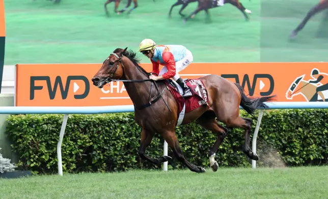 「嘉應高昇」。 香港賽馬會圖片