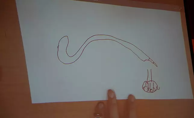畫蛇添足