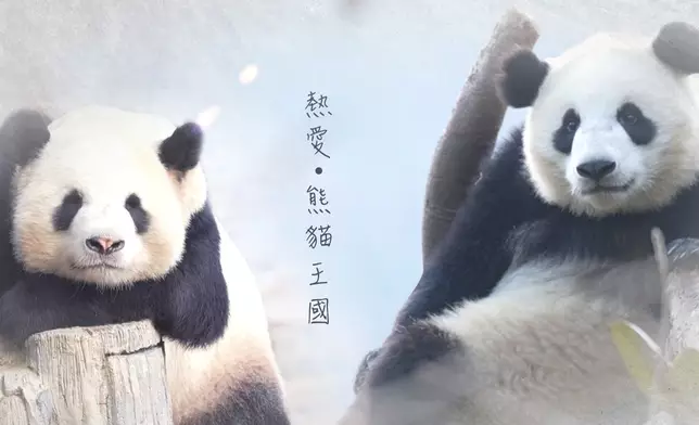 《周遊人生》首集登場的主角，是大熊貓保育員朗舜筠Janet。