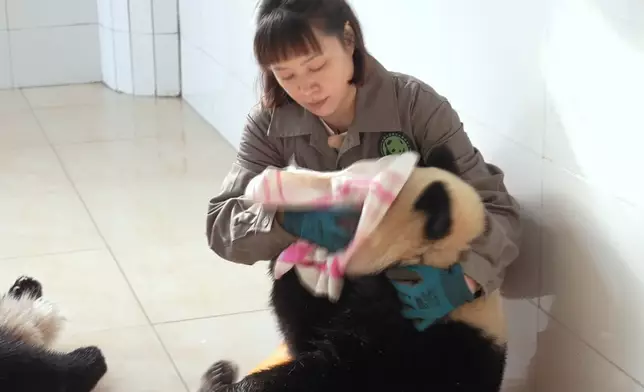 Janet真係當正啲大熊貓係親生仔女咁照顧。