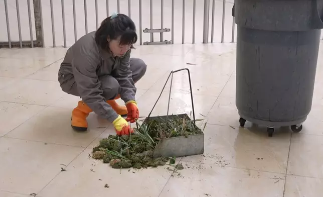 Jarvis真係好投入咁聞大熊貓嘅便便。