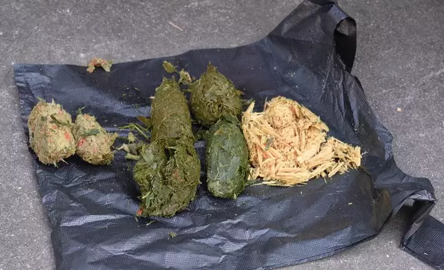 Jarvis真係好投入咁聞大熊貓嘅便便。