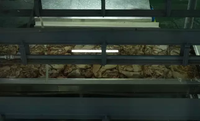巴士的報記者攝