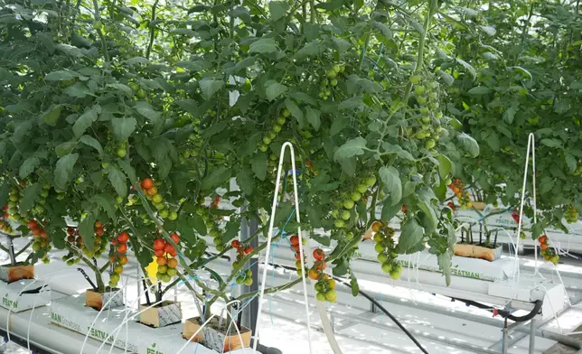 巴士的報記者攝
