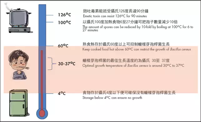 食安中心關於食物製造過程中應對蠟樣芽孢桿的指引。食物安全中心圖片