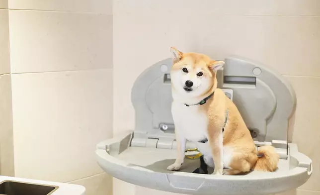 貓狗友善家庭洗手間