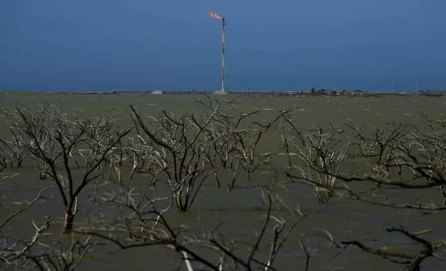 檔案圖片：2025年2月6日，在哥倫比亞馬瑙雷，一間天然氣公司在被淹沒的樹木附近運作。(美聯社圖片/Ivan Valencia) AP圖片
