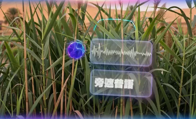 節目入面嘅AI穿越同實景介紹銜接得好好，好似睇緊以歷史為題材嘅短劇咁，有資訊介紹、有驚險刺激嘢、仲有訪問攞料，好豐富呀！