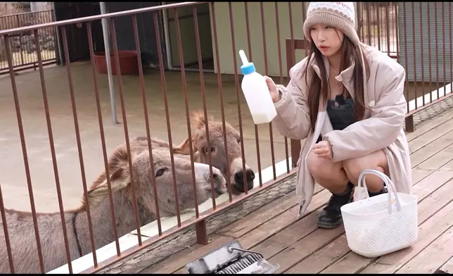 暉哥到訪一所農場。