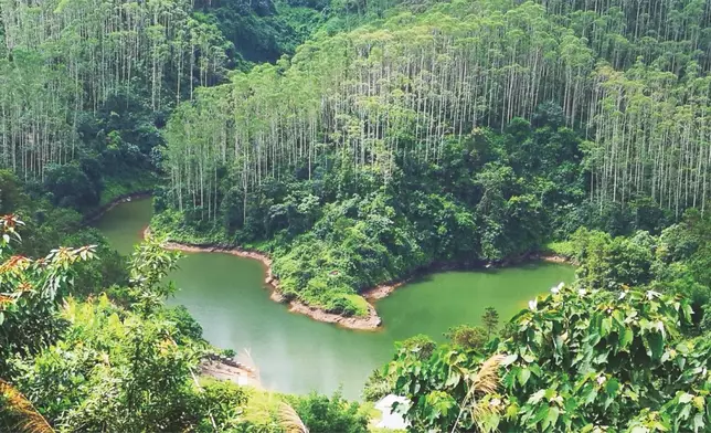 衍安生態園南藥種植基地。