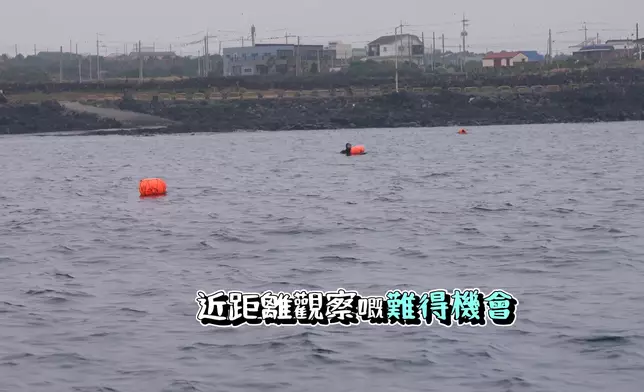 回程時見到海女開工，順便光顧她們的食堂。