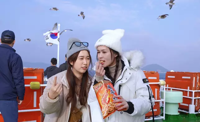 二人頭頂的海鷗在等食。