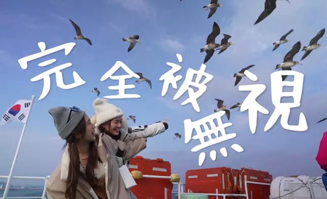 海鷗對二人手上的蝦條不再感興趣。