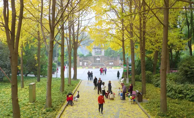人民公園竟是「江湖配對計劃」？想知就要睇節目。