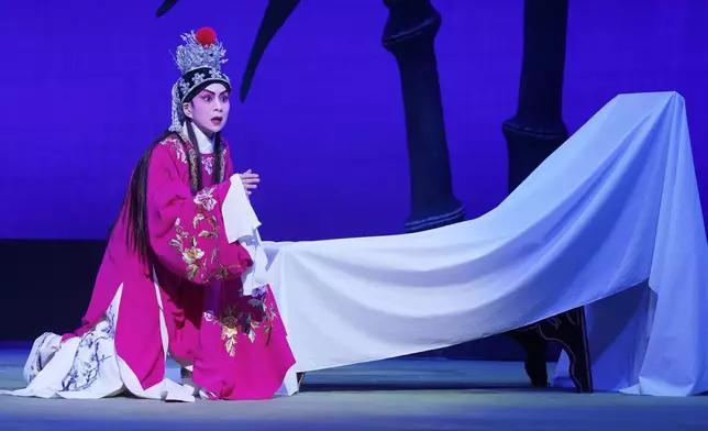 文華反串演的賈寶玉文質彬彬，情感流露令觀眾動容。