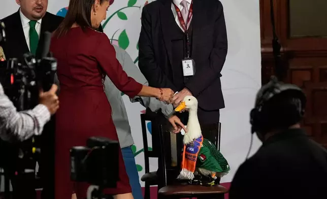 墨西哥總統克勞迪婭·謝因鮑姆周一，2026年6月22日，在墨西哥城國家宮舉行的早上記者會上，與身穿墨西哥國家足球隊球衣的鴨子梅林互動。(美聯社圖片/Marco Ugarte) AP圖片