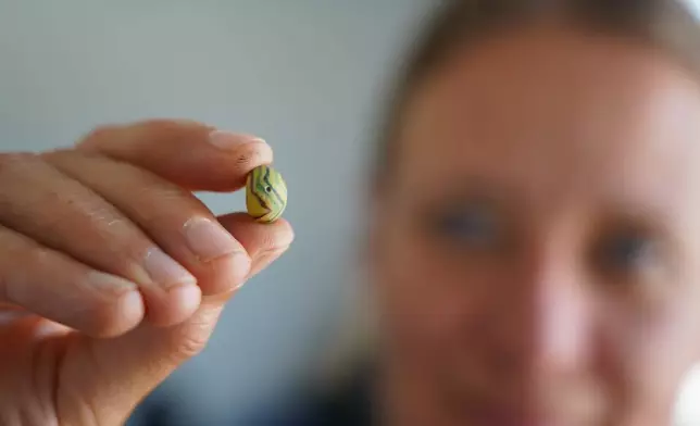 莫斯加德博物館考古學家莉芙·斯蒂辛·雷赫-朗貝格，二零二六年六月二十二日在丹麥奧胡斯手持一枚出土的維京時代玻璃珠。(美聯社圖片/占士·布魯克斯) AP圖片