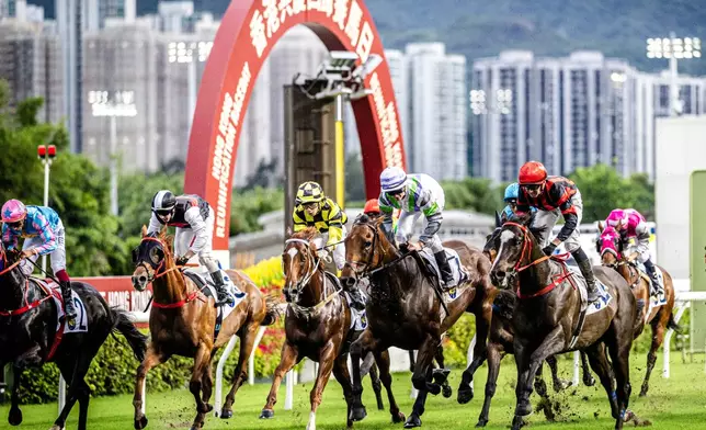 賽事的重頭戲分別是第五場的「香港回歸盃」及第七場的「粵港盃」