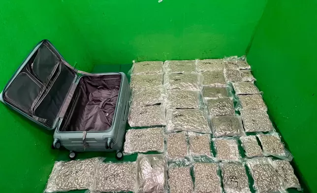 第二宗案件中檢獲的懷疑大麻花。 政府新聞處圖片